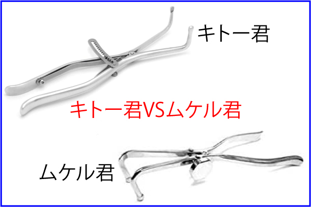 キトー君とムケル君を徹底比較