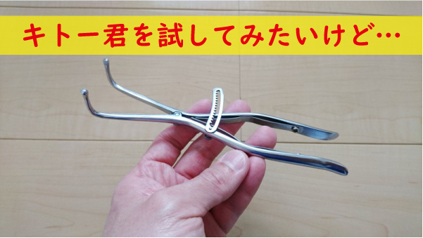 本気でキトー君を試してみたいけど